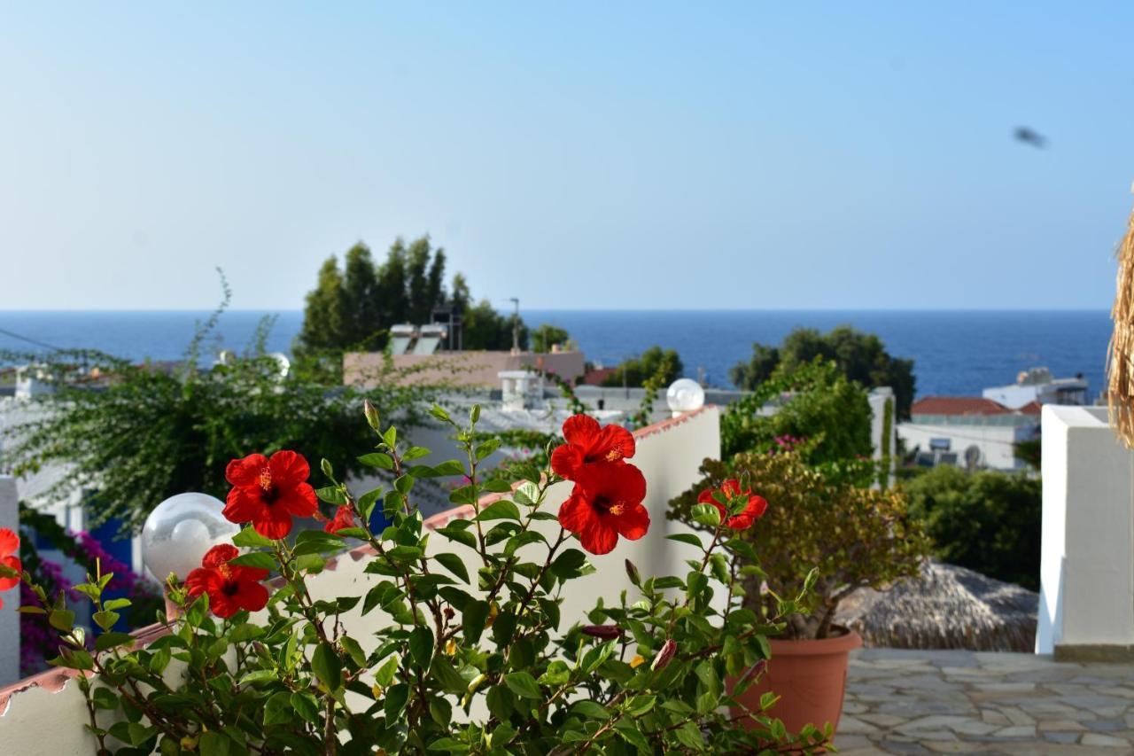 Kasteli Studios & Apartments Pánormos Dış mekan fotoğraf