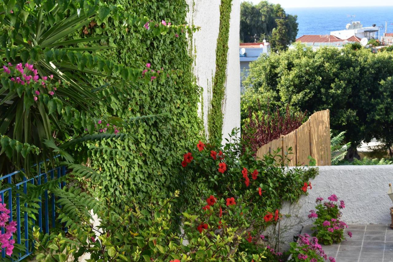 Kasteli Studios & Apartments Pánormos Dış mekan fotoğraf